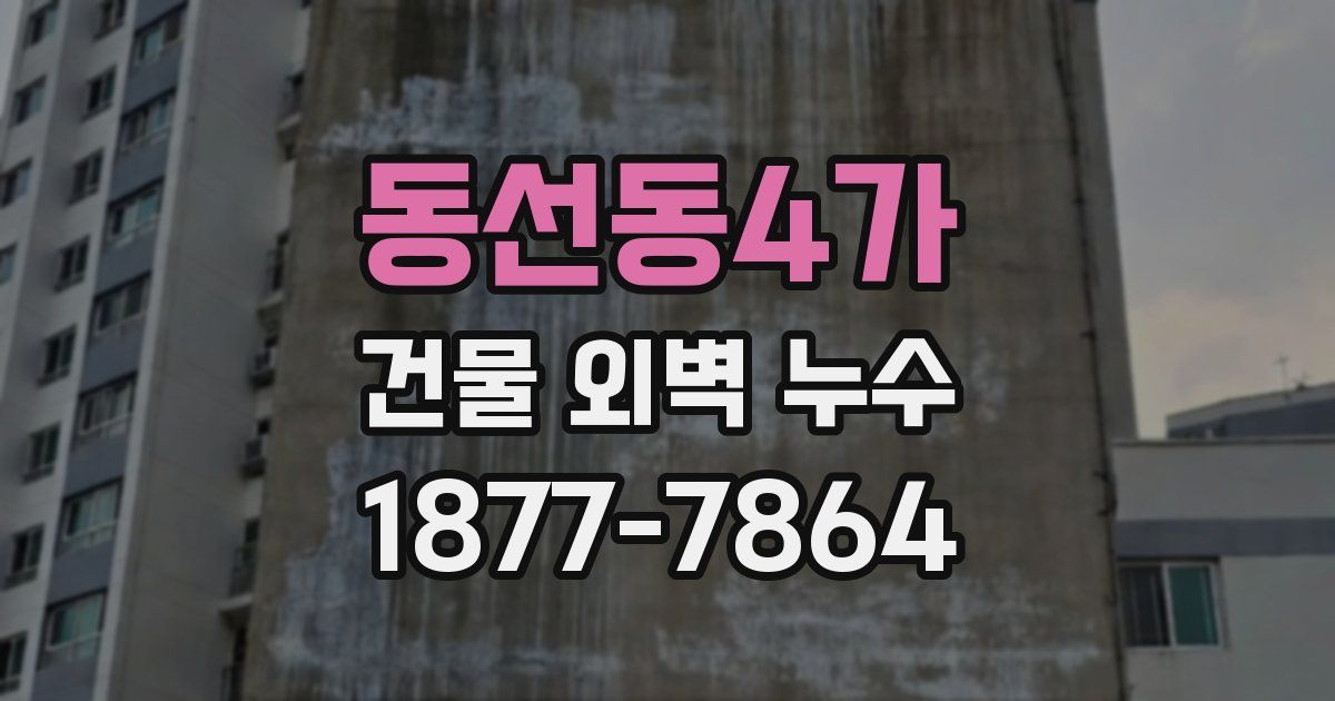 동선동4가 건물 외벽 누수