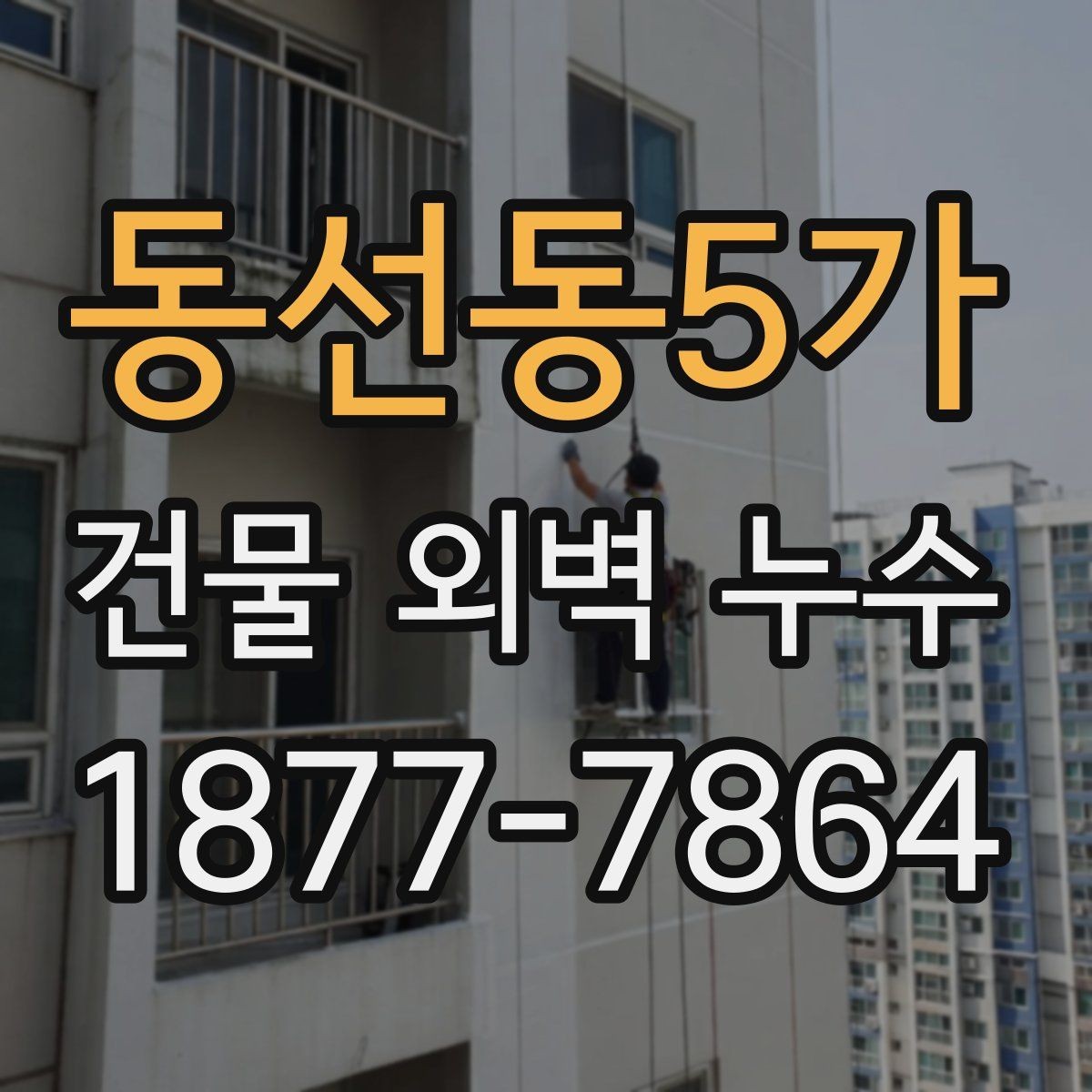 동선동5가 건물 외벽 누수 발생 원인별 사례 정리