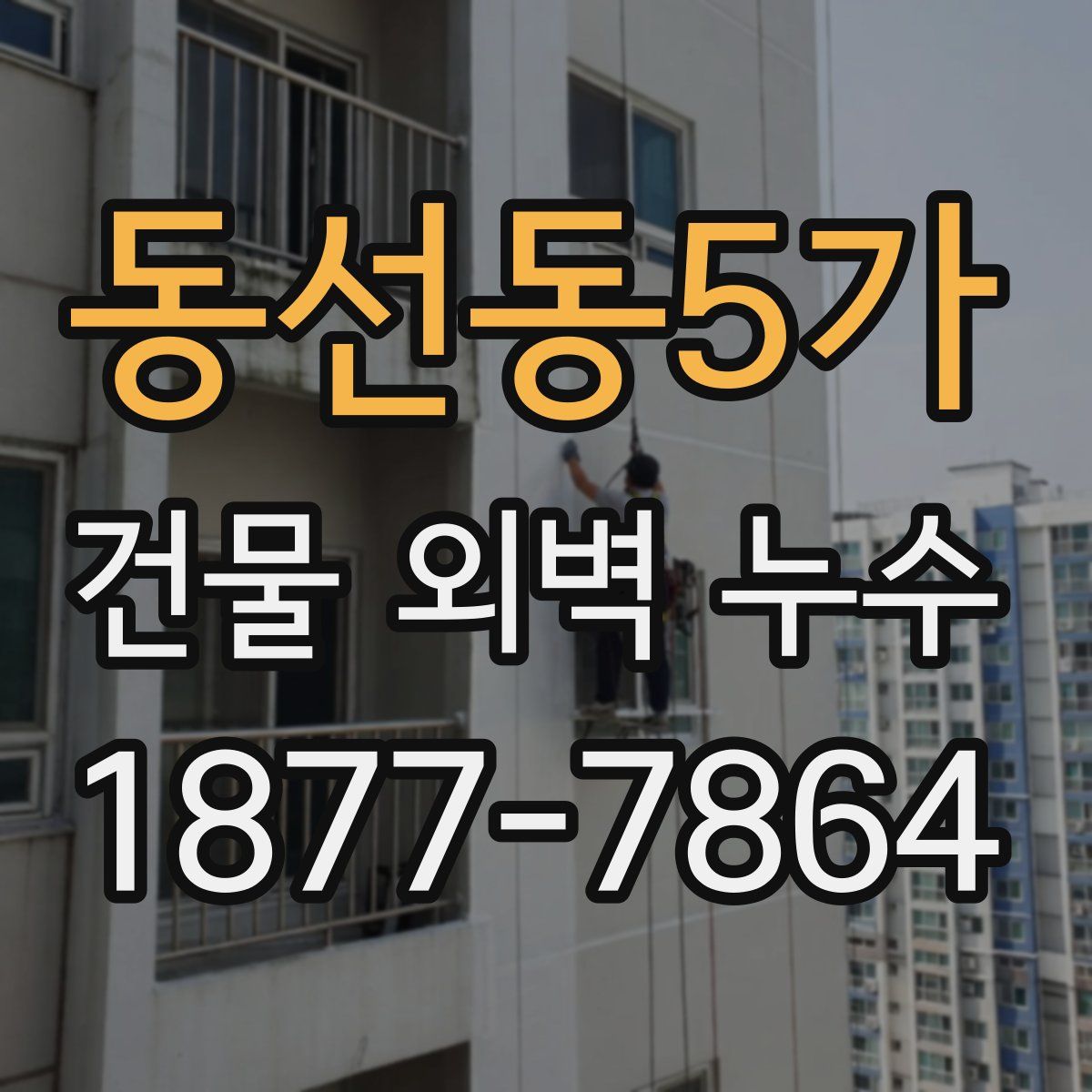 동선동5가 건물 외벽 누수