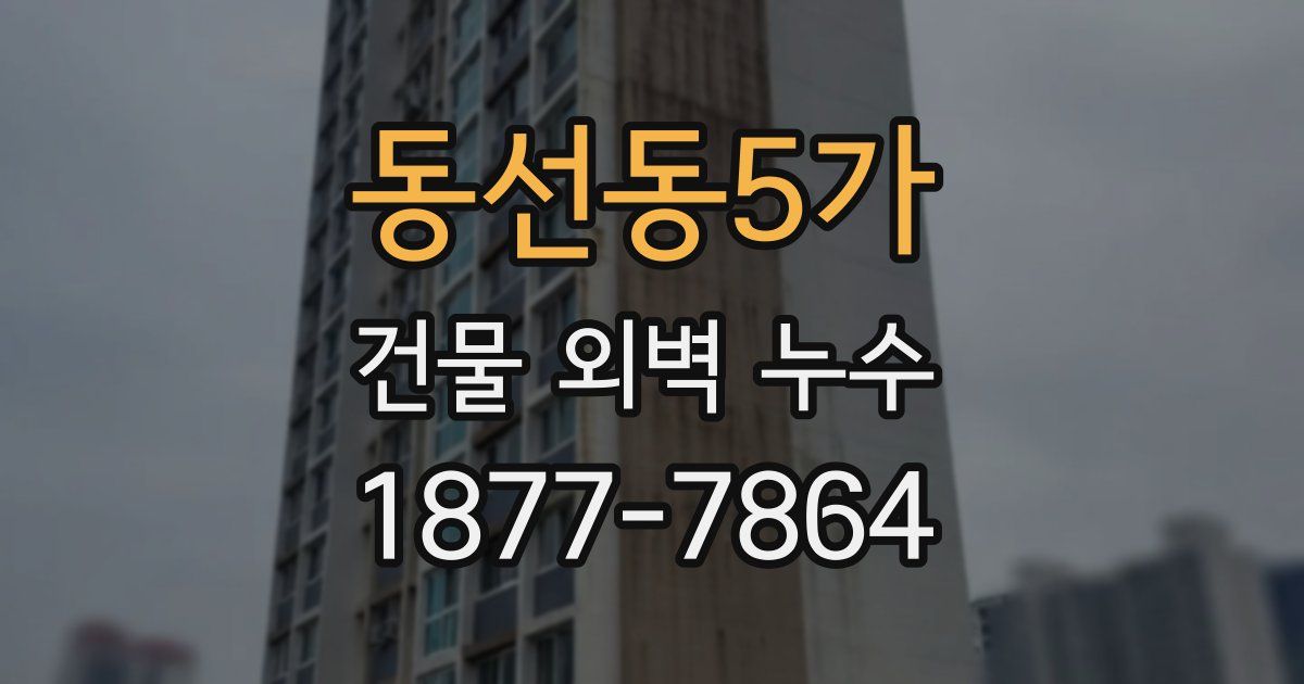 동선동5가 건물 외벽 누수