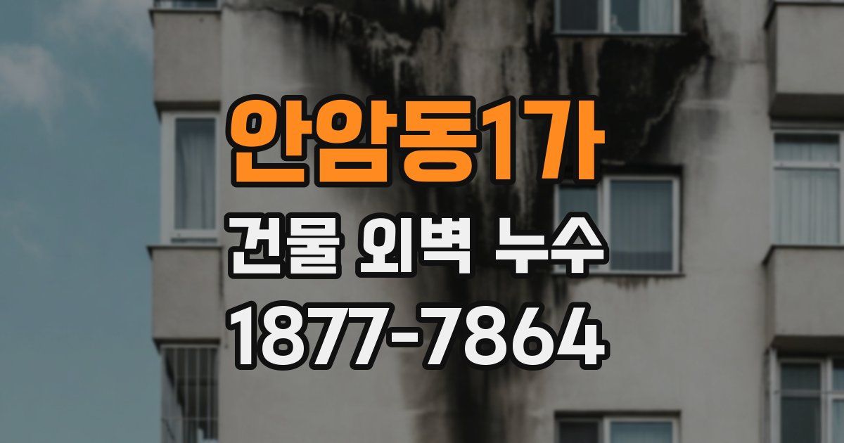 안암동1가 건물 외벽 누수