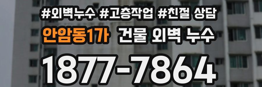 안암동1가 건물 외벽 누수