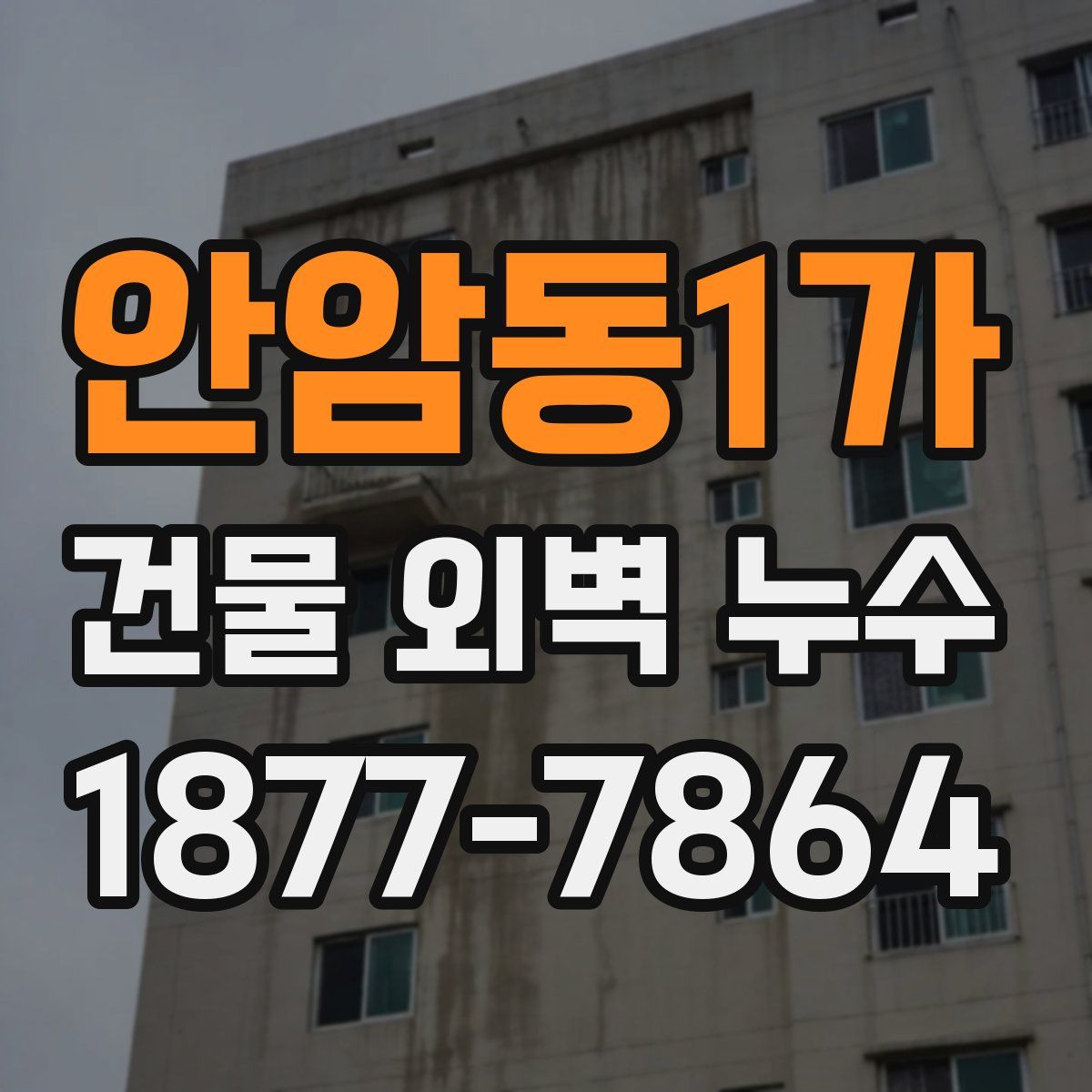 안암동1가 건물 외벽 누수
