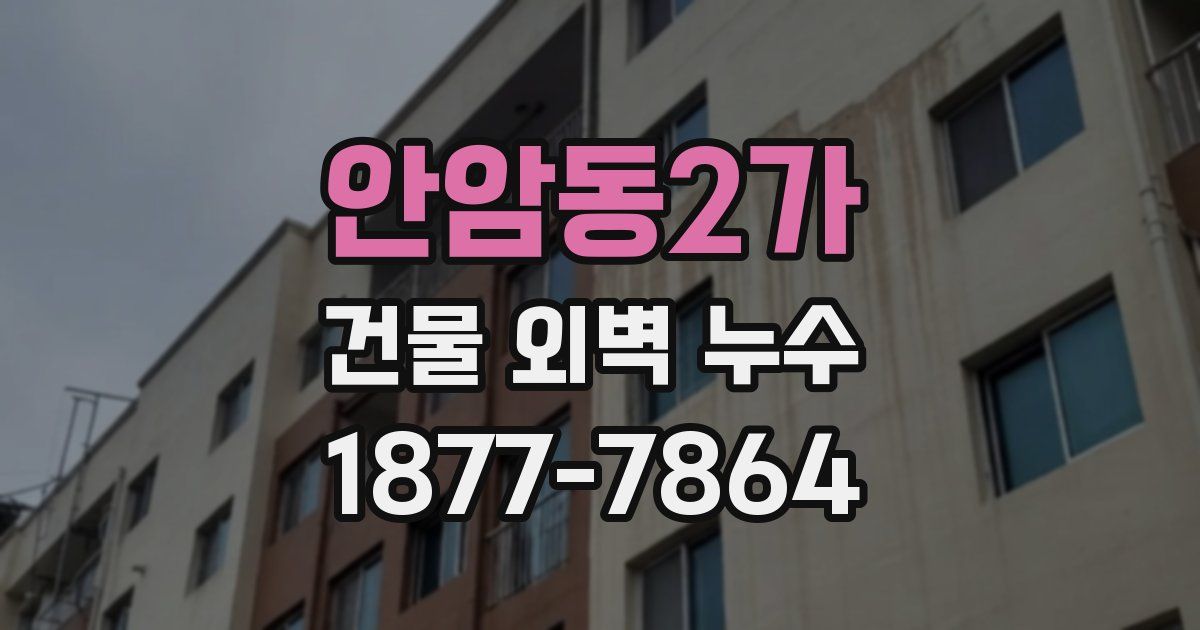 안암동2가 건물 외벽 누수