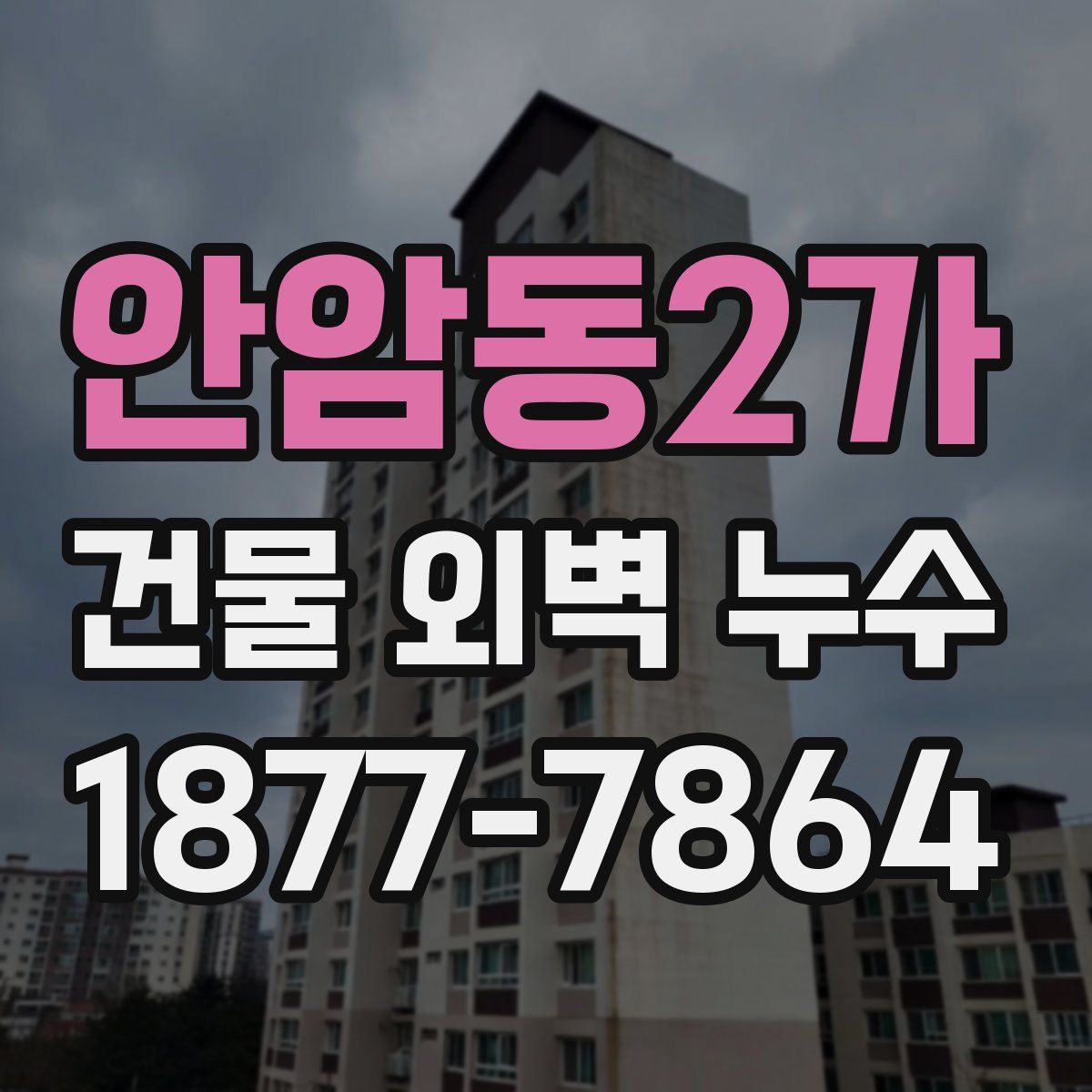 안암동2가 건물 외벽 누수