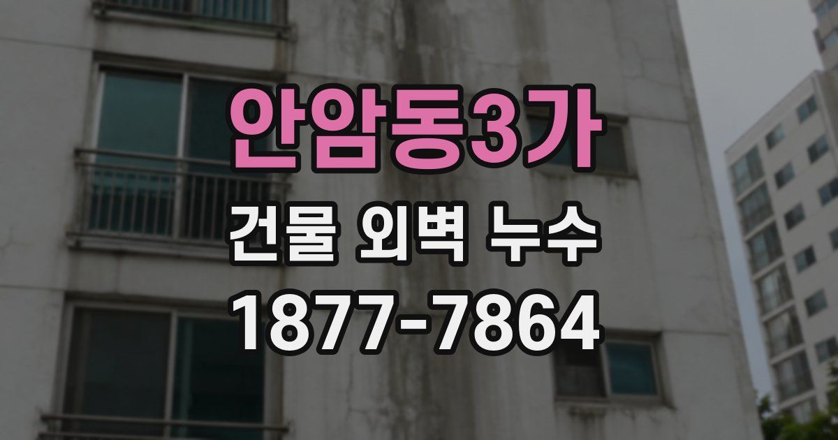 안암동3가 건물 외벽 누수