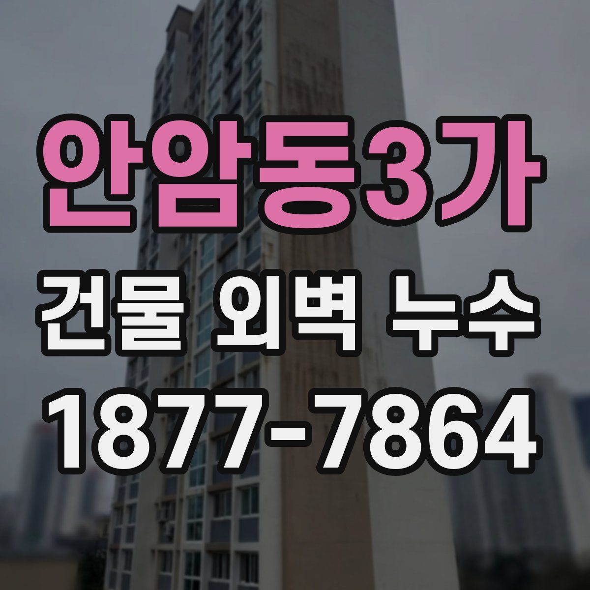 안암동3가 건물 외벽 누수