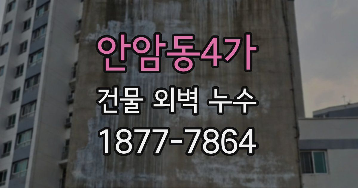 안암동4가 건물 외벽 누수