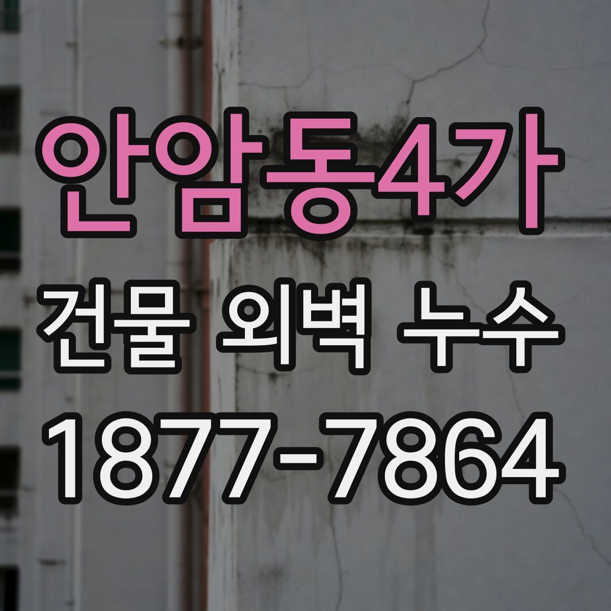 안암동4가 건물 외벽 누수