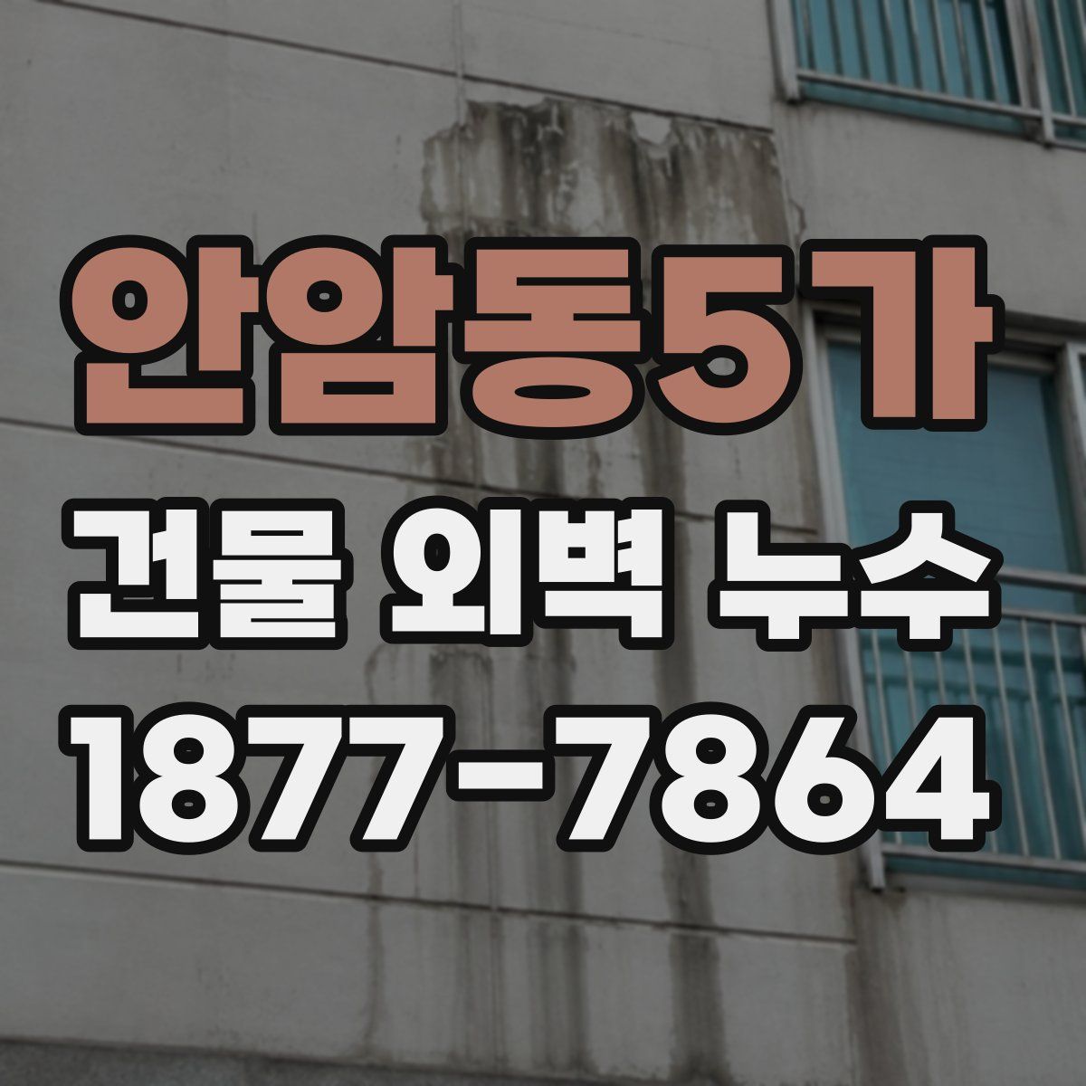 안암동5가 건물 외벽 누수