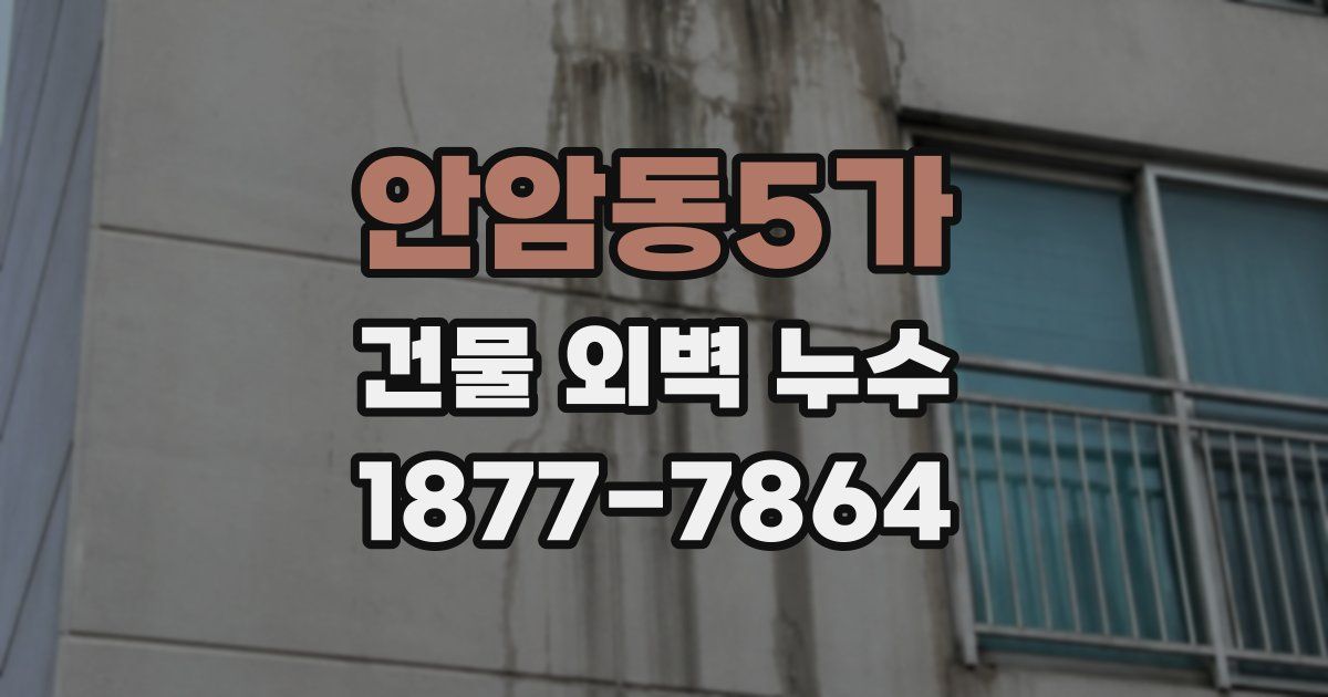 안암동5가 건물 외벽 누수