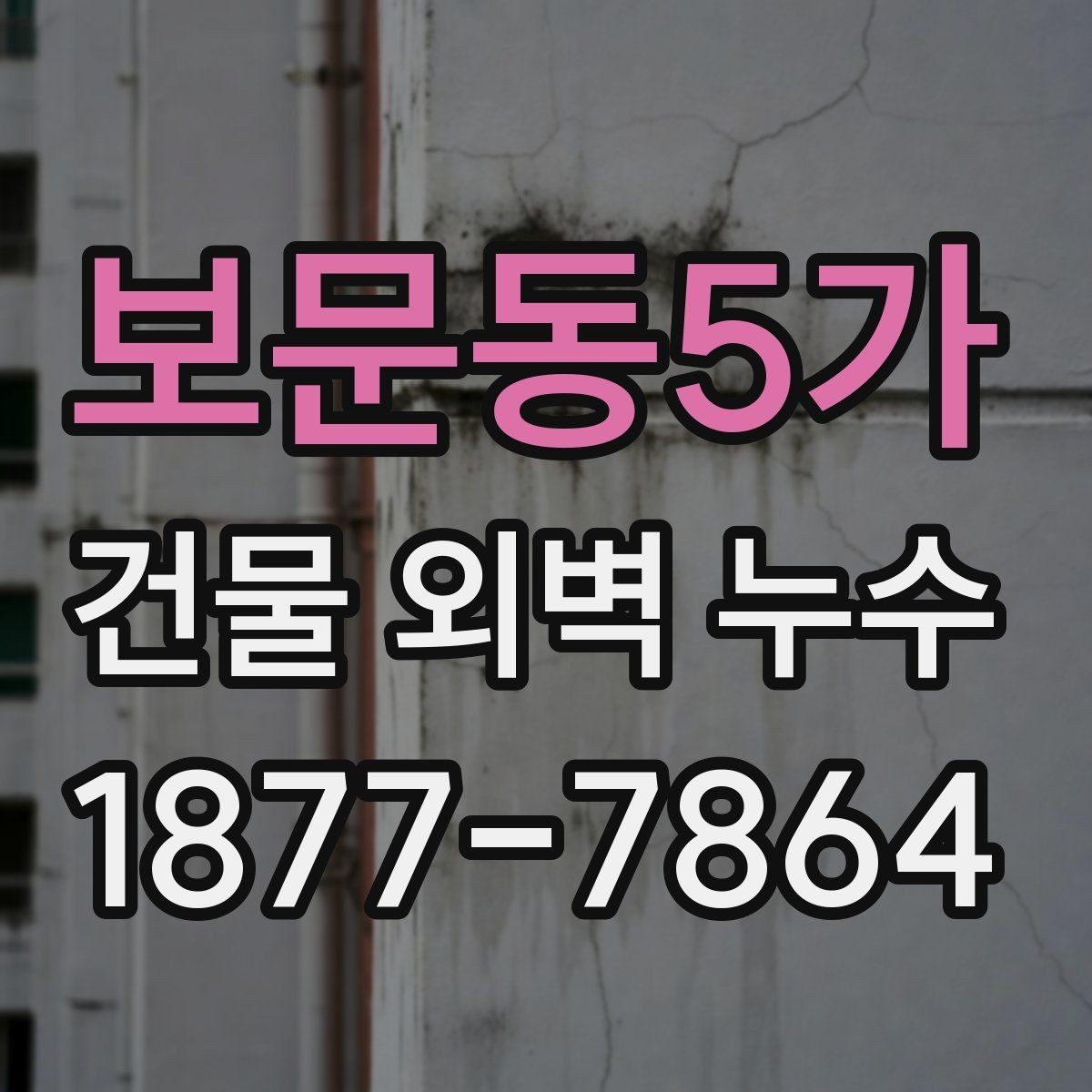 보문동5가 건물 외벽 누수 보수 비용은 어떻게 달라질까