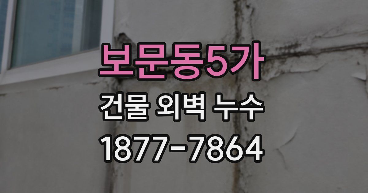 보문동5가 건물 외벽 누수