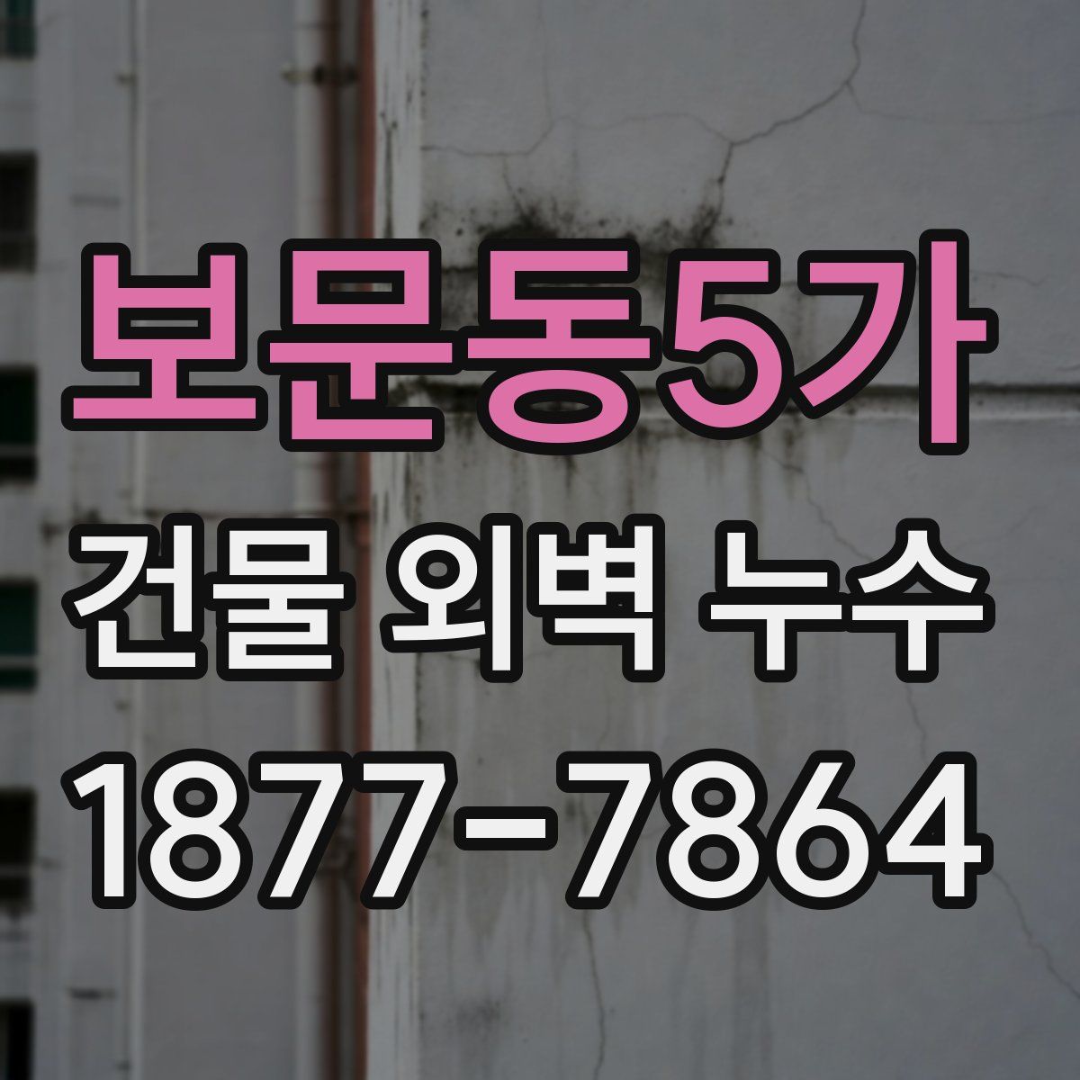보문동5가 건물 외벽 누수