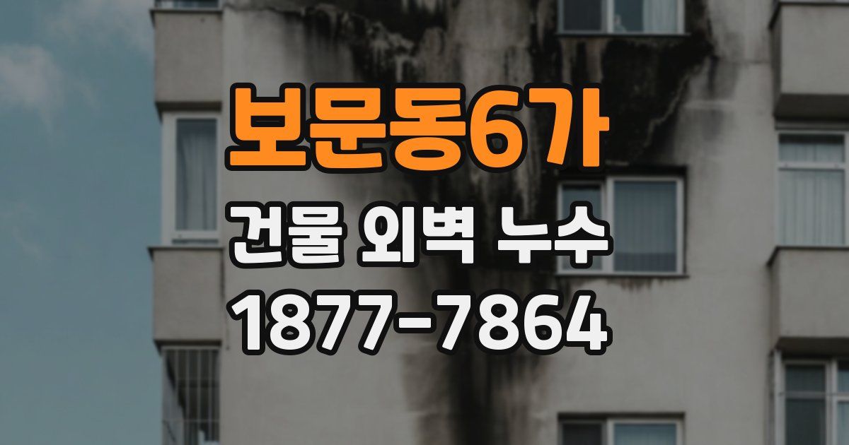 보문동6가 건물 외벽 누수