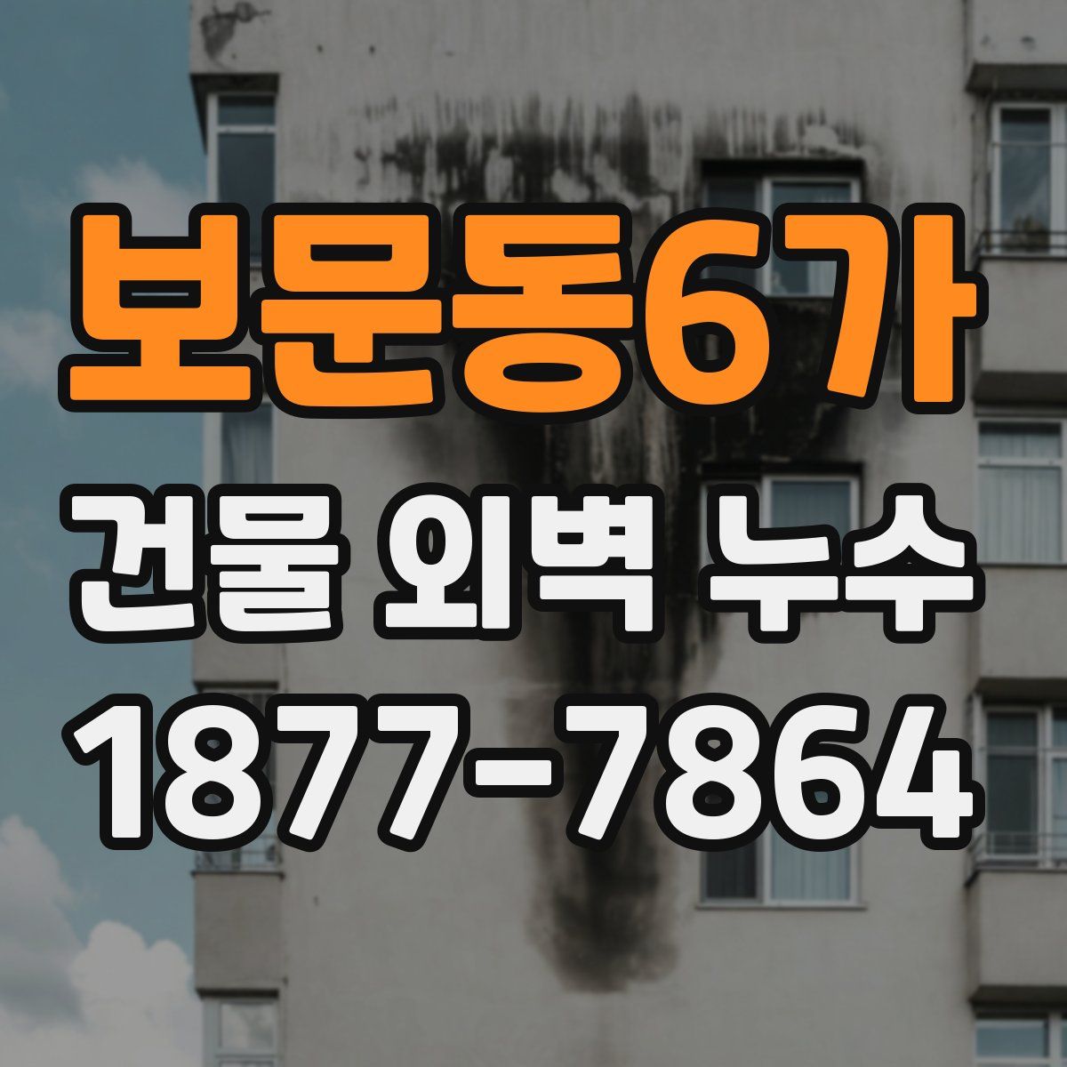 보문동6가 건물 외벽 누수