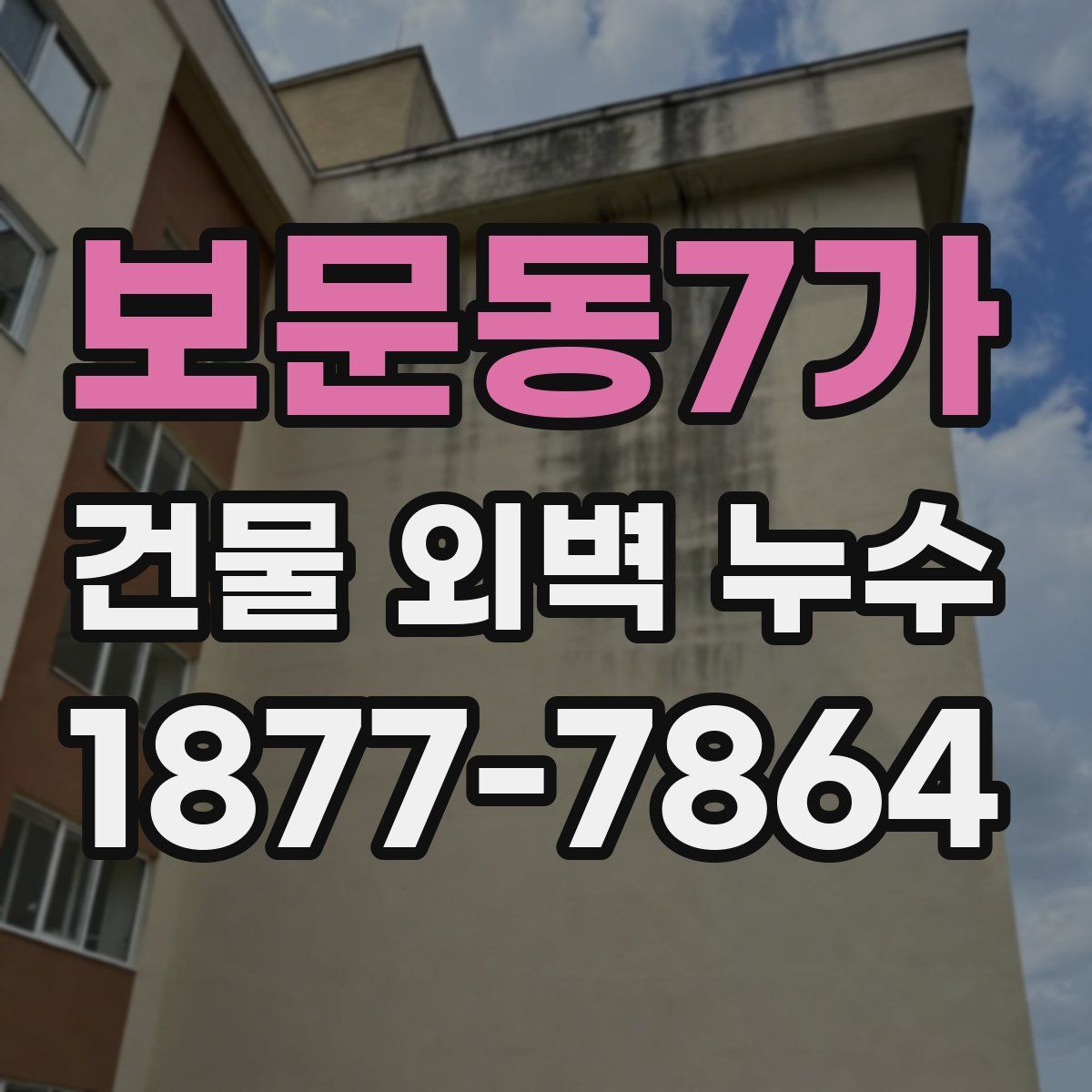 보문동7가 건물 외벽 누수