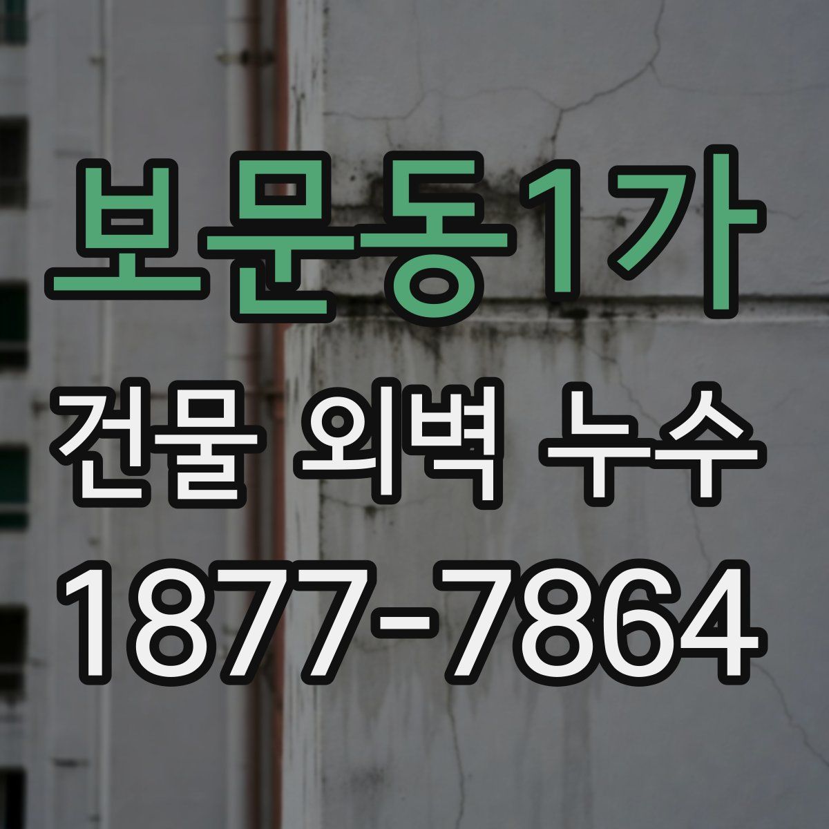 보문동1가 건물 외벽 누수