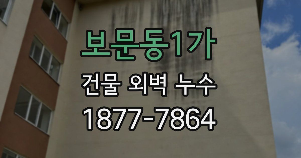 보문동1가 건물 외벽 누수