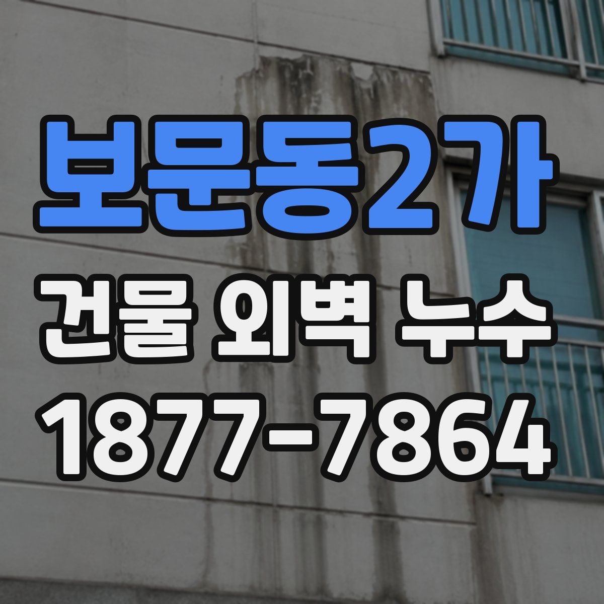 보문동2가 건물 외벽 누수