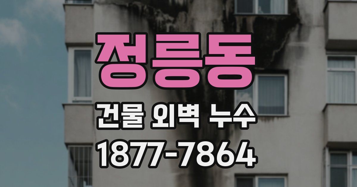 정릉동 건물 외벽 누수