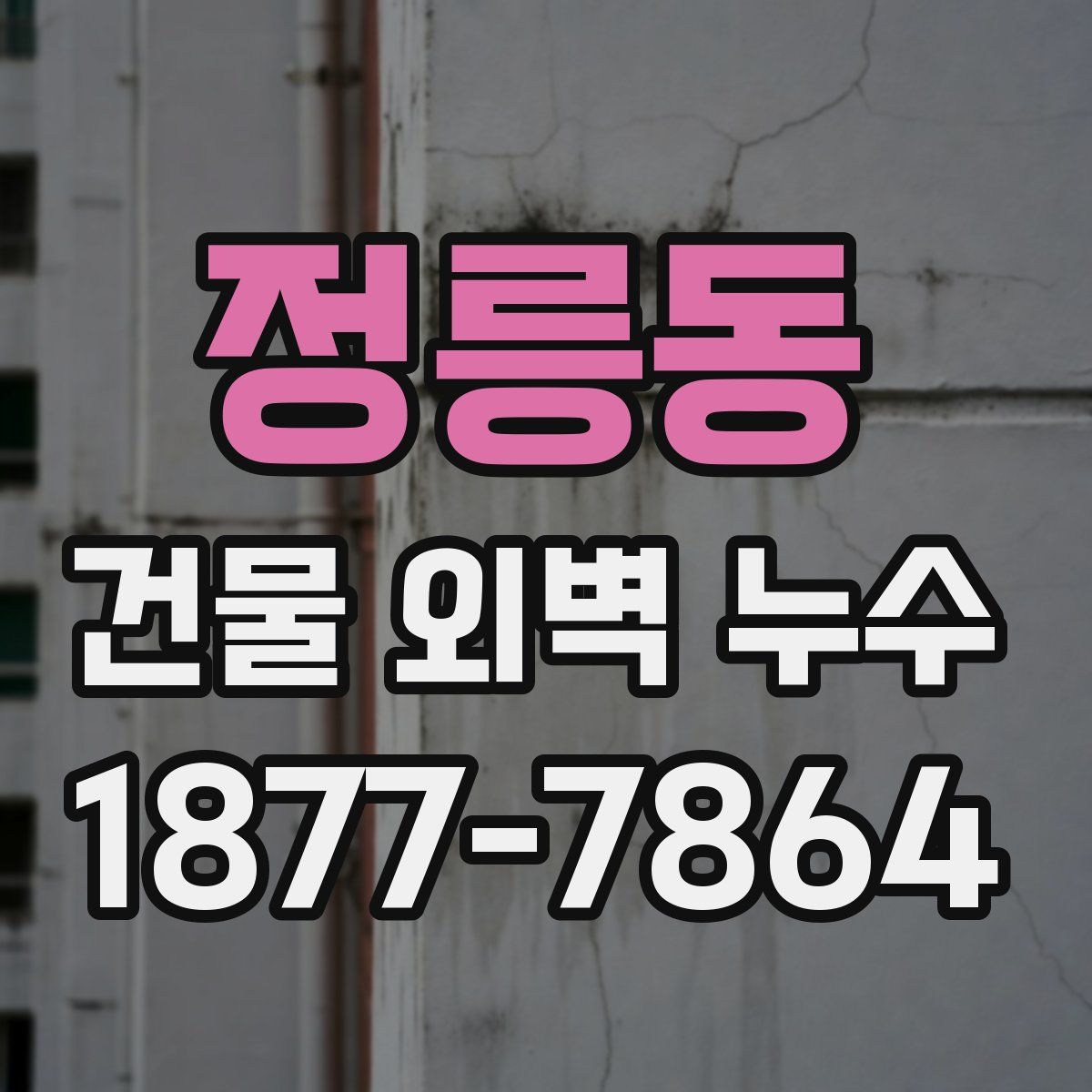 정릉동 건물 외벽 누수