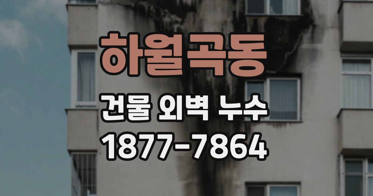 하월곡동 건물 외벽 누수