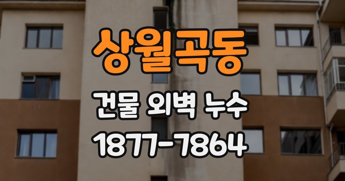 상월곡동 건물 외벽 누수