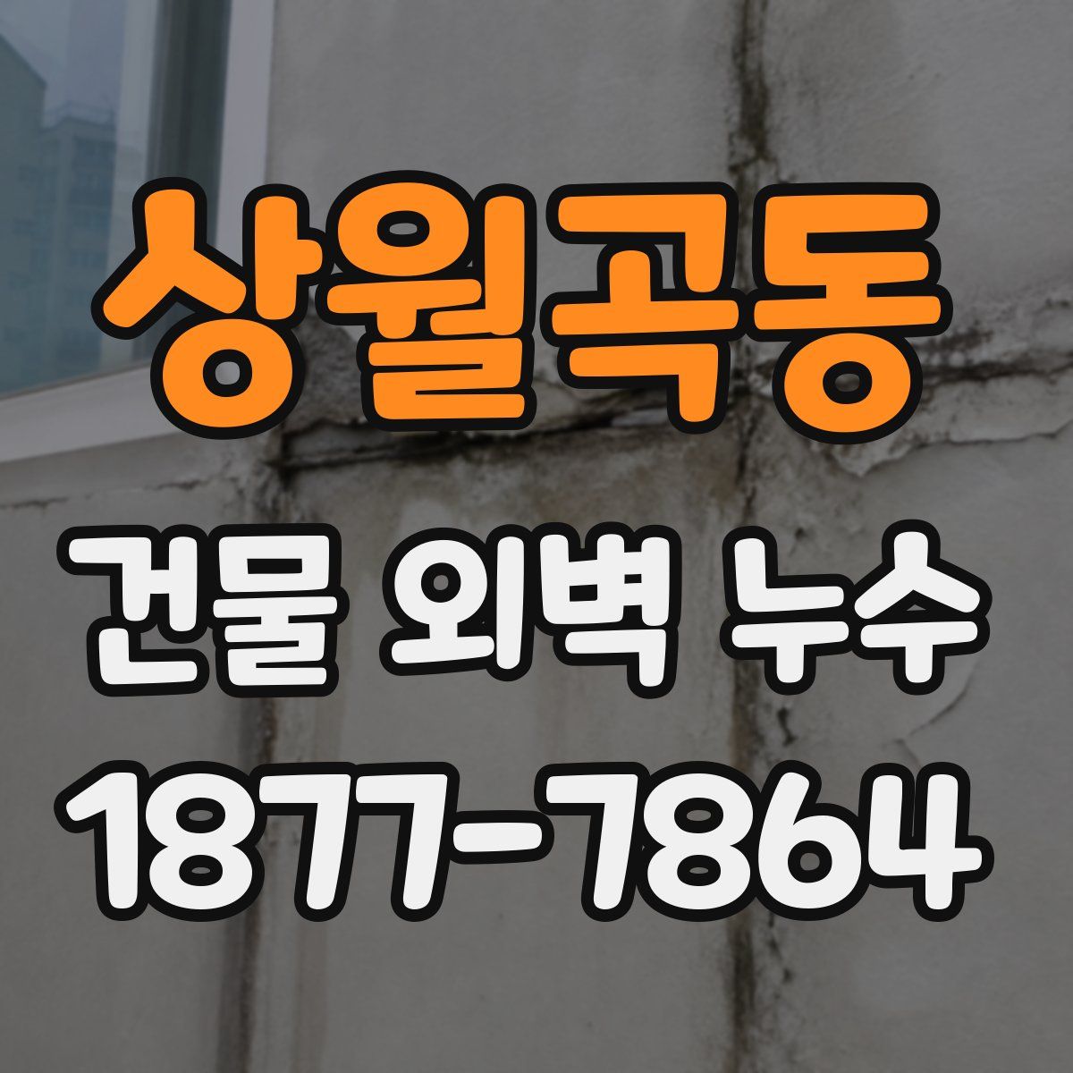 상월곡동 건물 외벽 누수