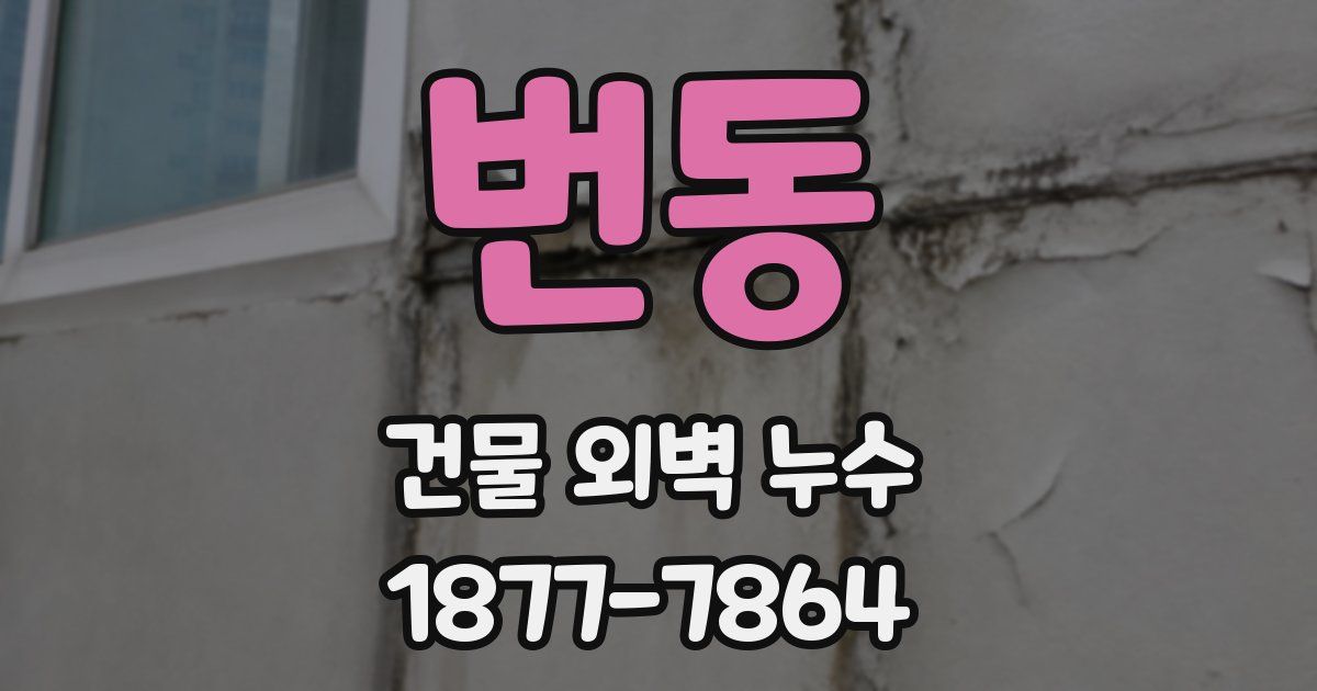 번동 건물 외벽 누수