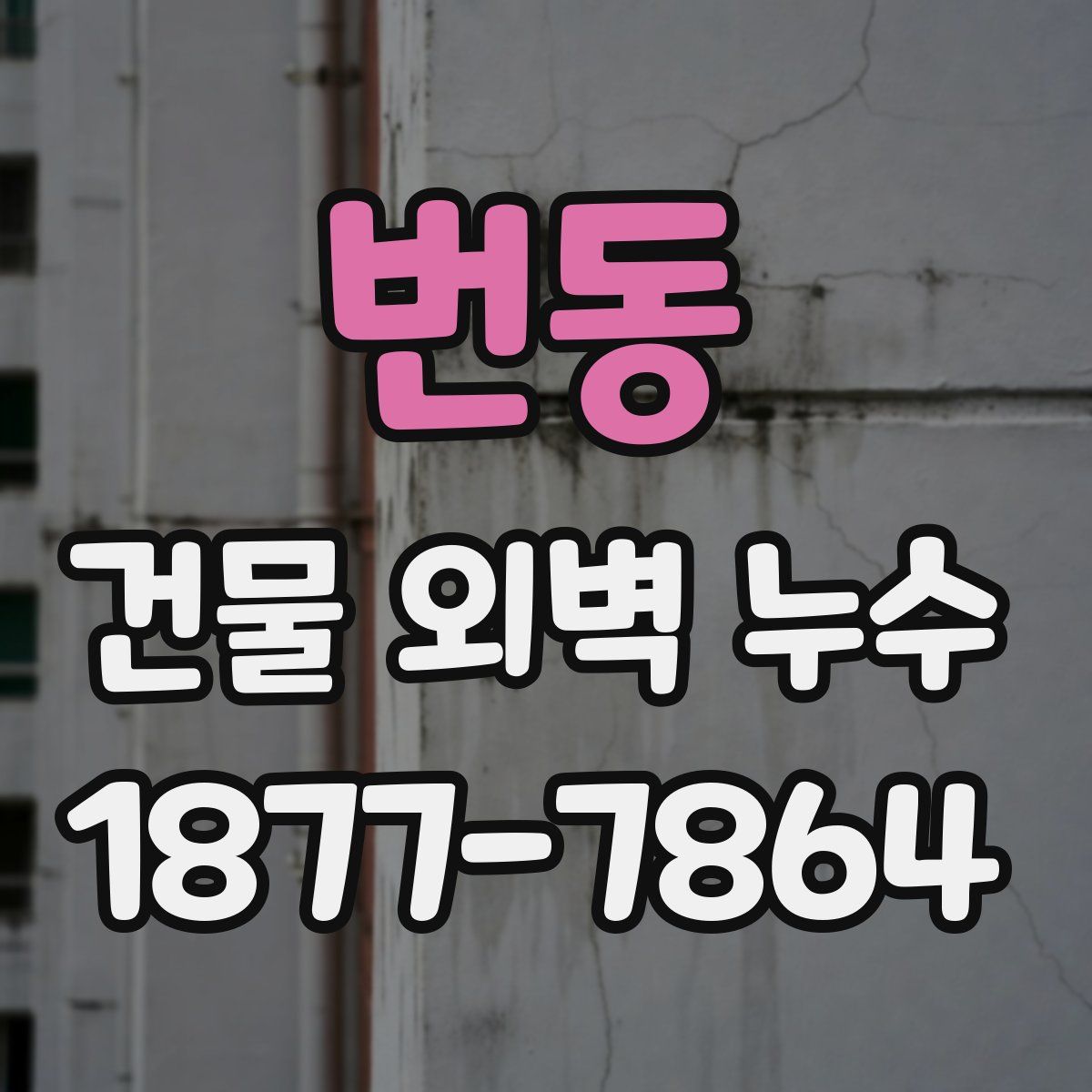 번동 건물 외벽 누수