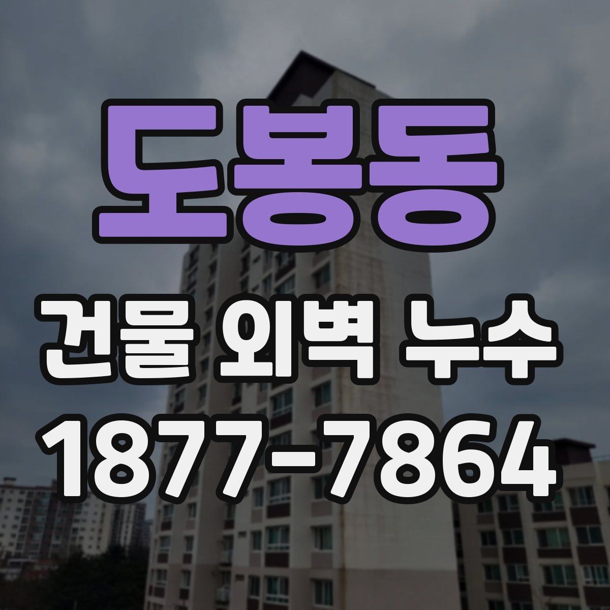도봉동 건물 외벽 누수 예방을 위한 계절별 점검
