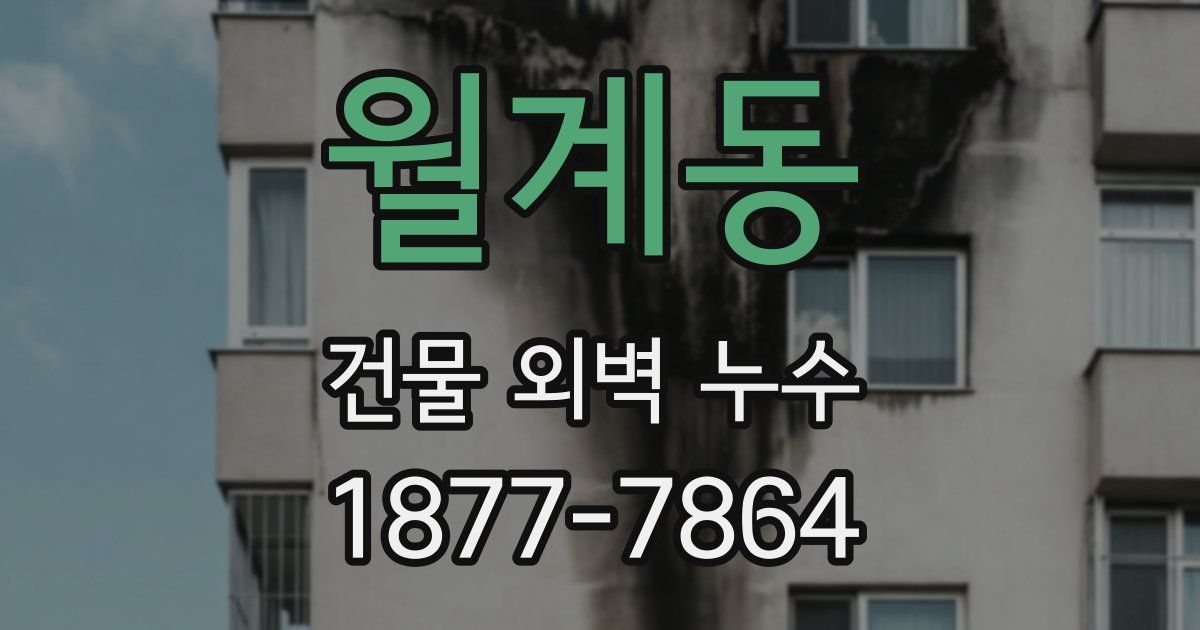 월계동 건물 외벽 누수