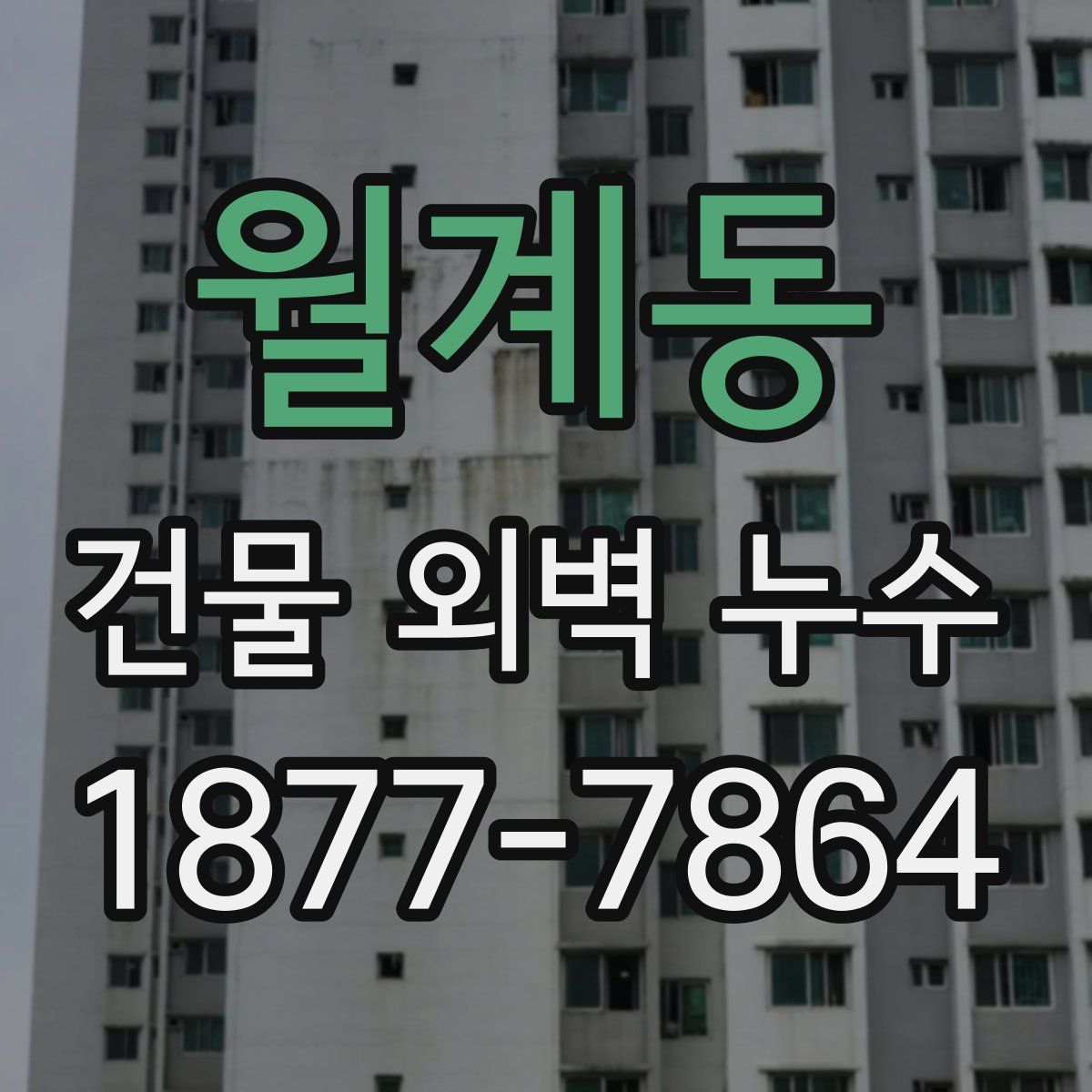 월계동 건물 외벽 누수