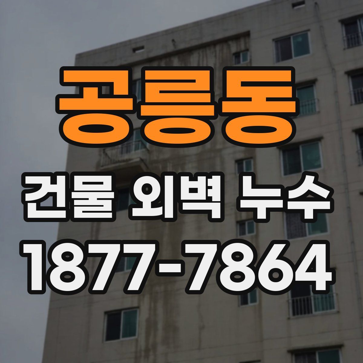 공릉동 건물 외벽 누수