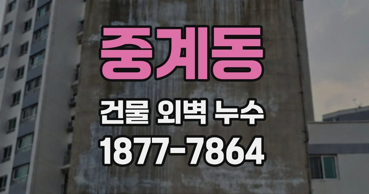 중계동 건물 외벽 누수