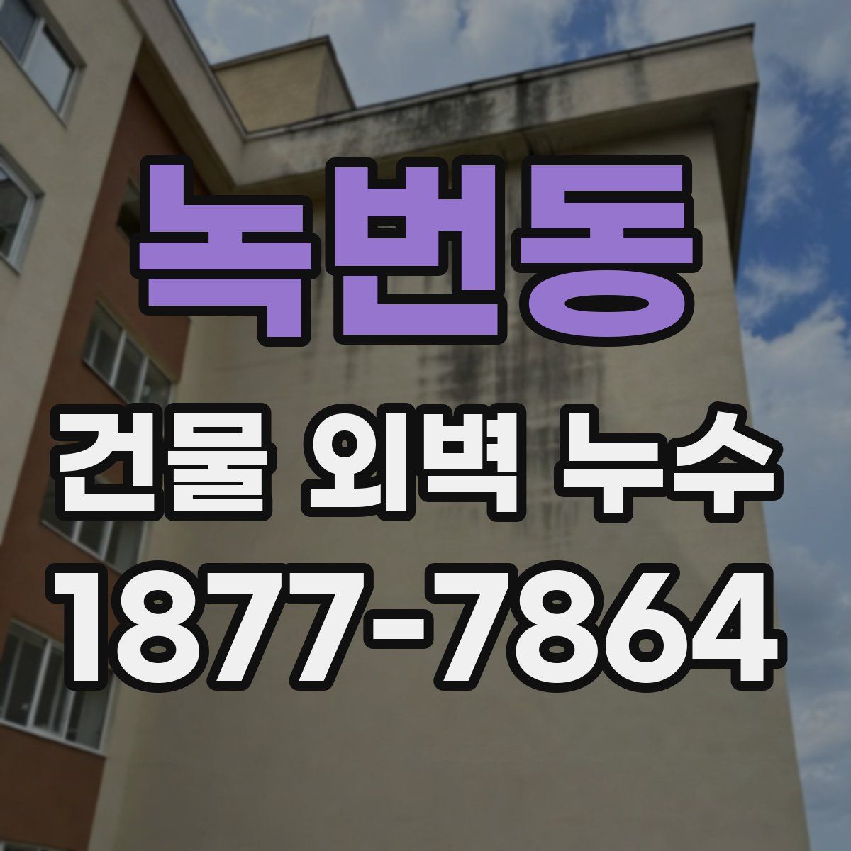 녹번동 건물 외벽 누수