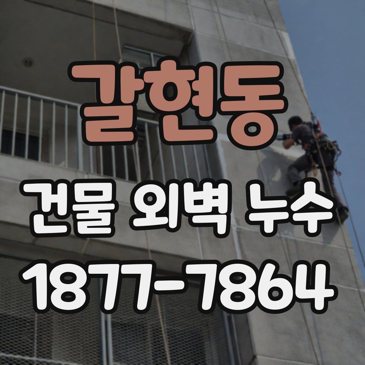 갈현동 건물 외벽 누수 수리 업체 선택 시 기준