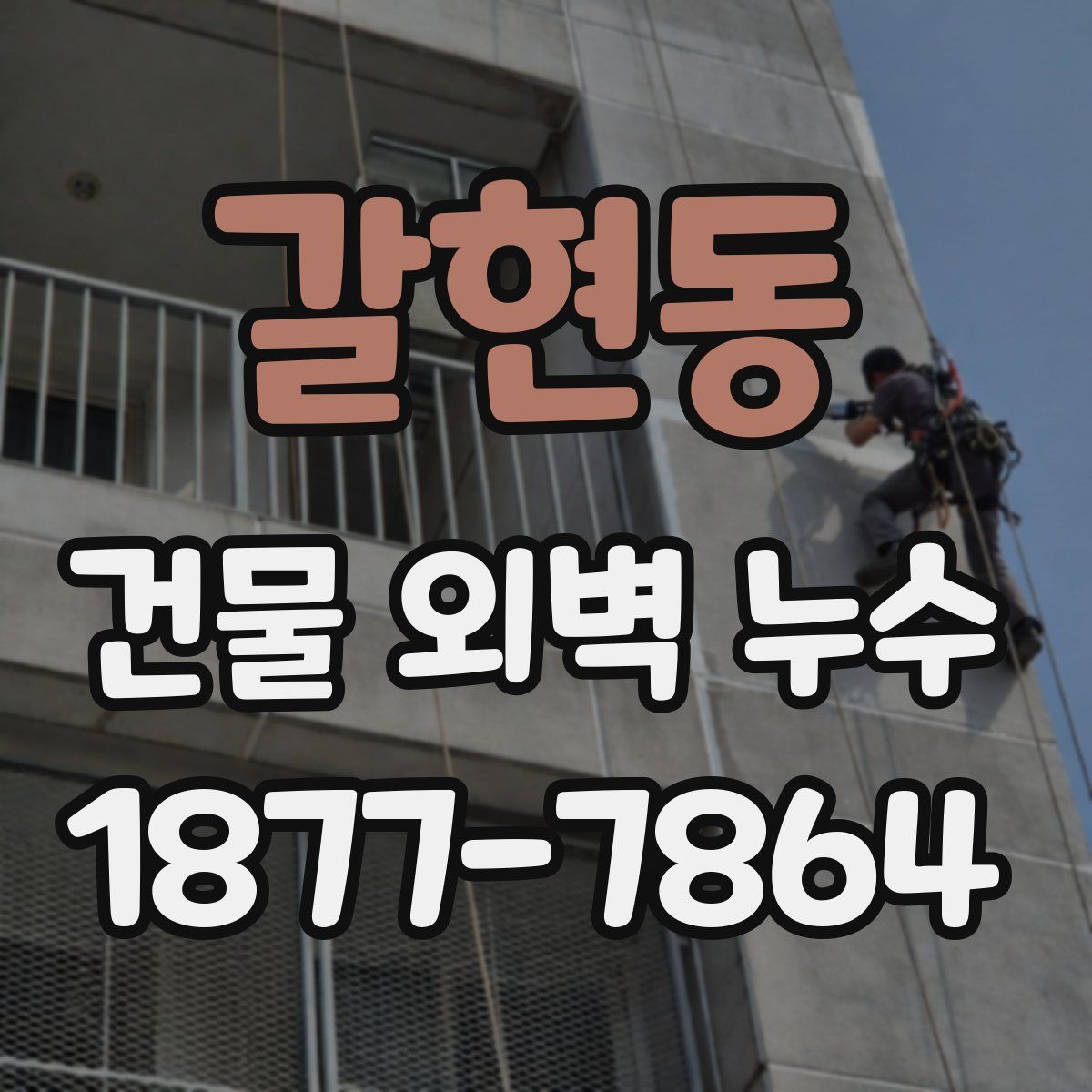 갈현동 건물 외벽 누수