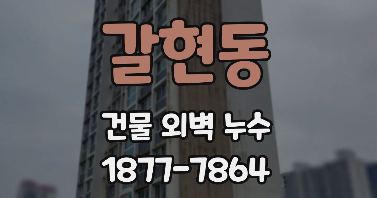 갈현동 건물 외벽 누수