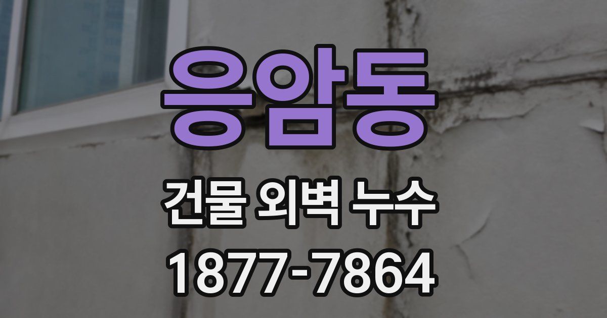 응암동 건물 외벽 누수