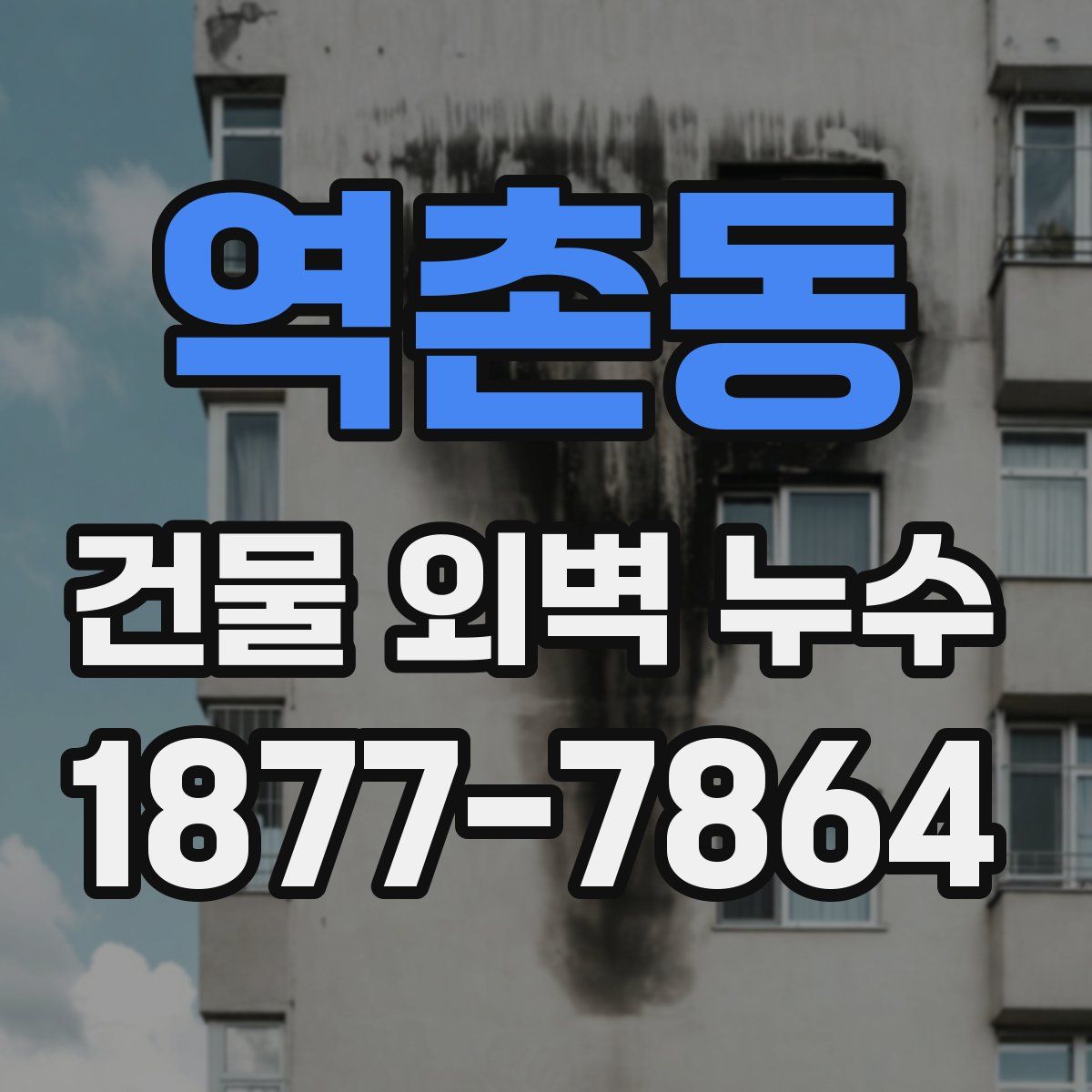 역촌동 건물 외벽 누수