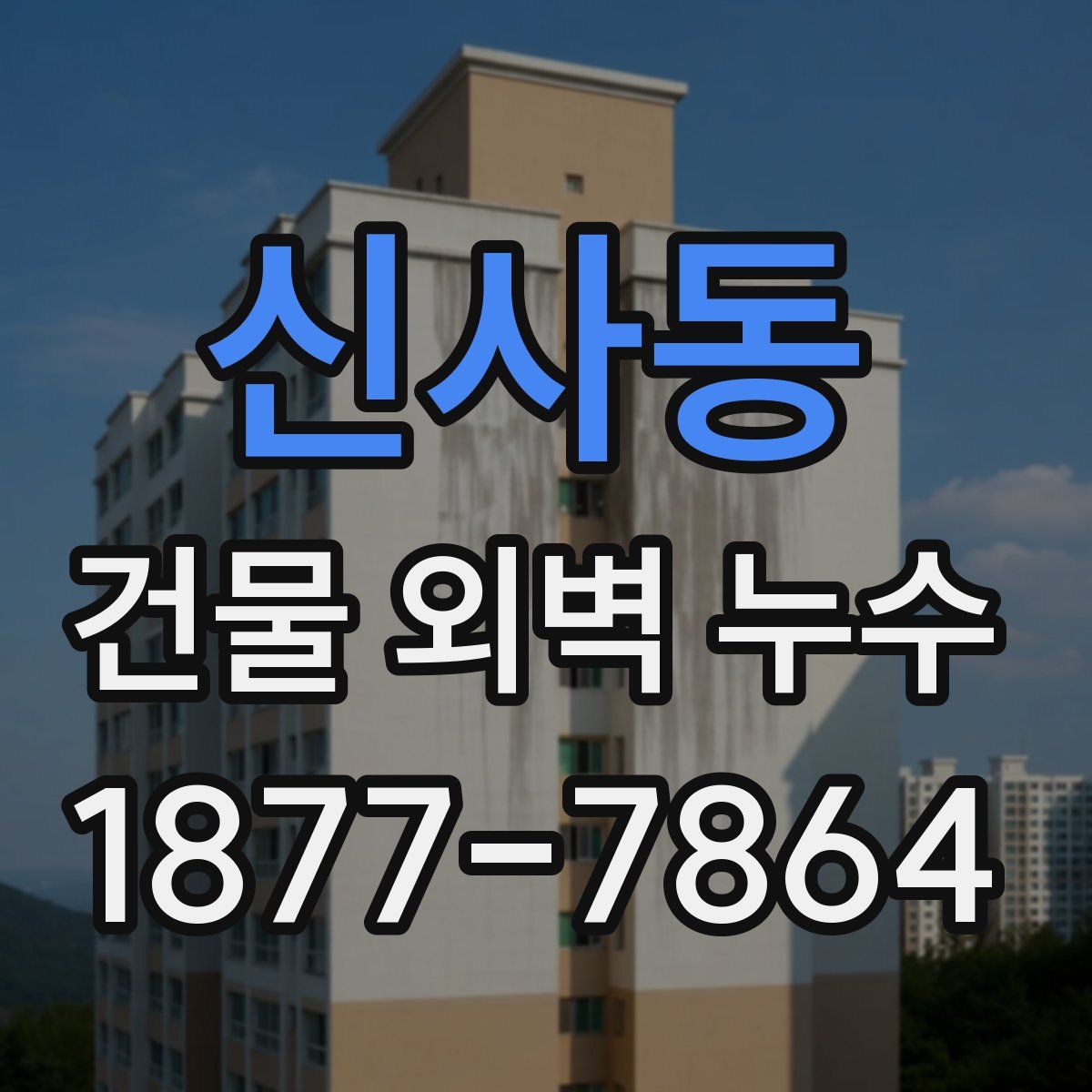 신사동 건물 외벽 누수