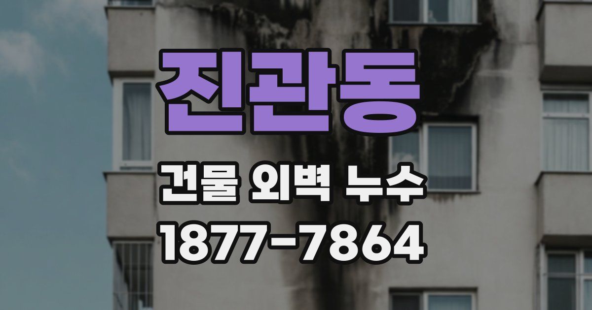 진관동 건물 외벽 누수
