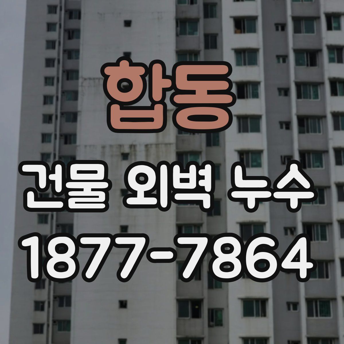 합동 건물 외벽 누수