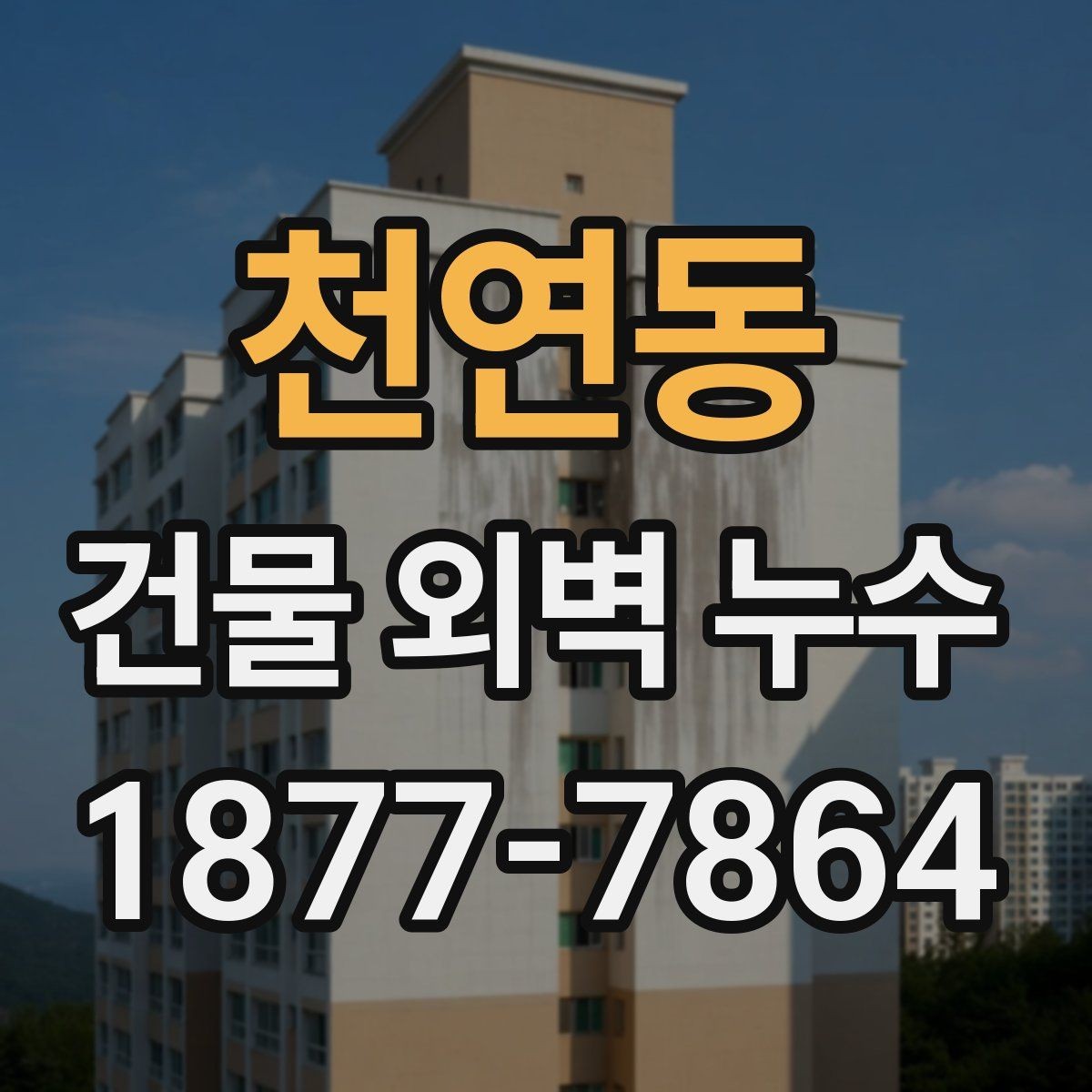 천연동 건물 외벽 누수 재발을 막는 관리 팁