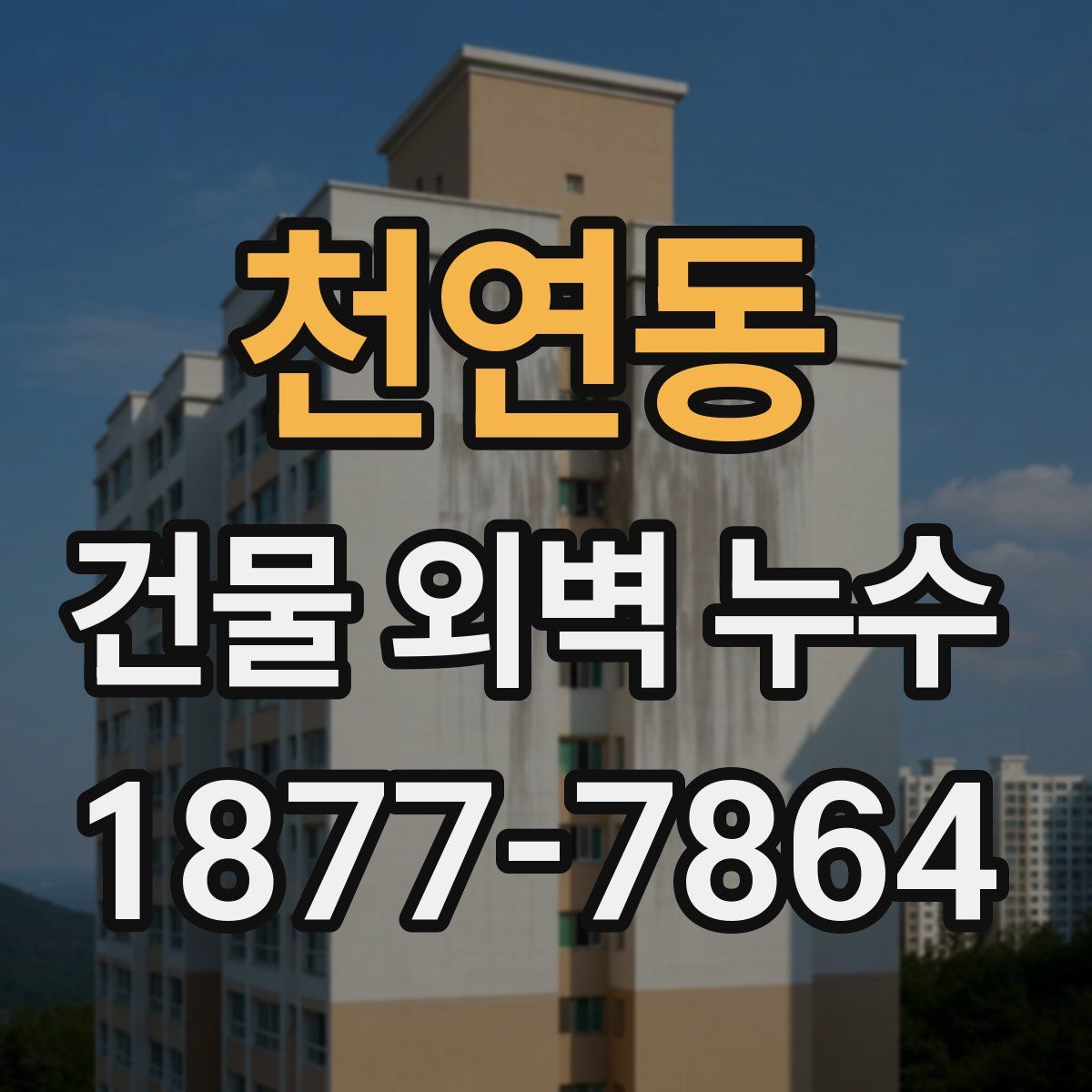 천연동 건물 외벽 누수