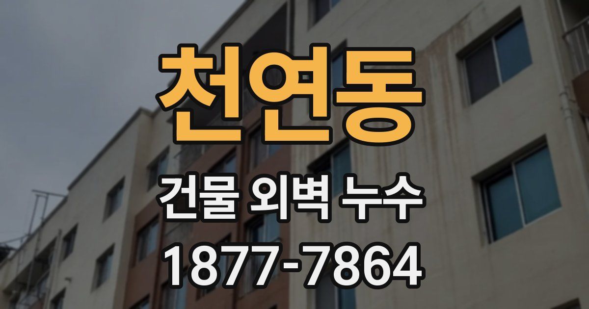 천연동 건물 외벽 누수