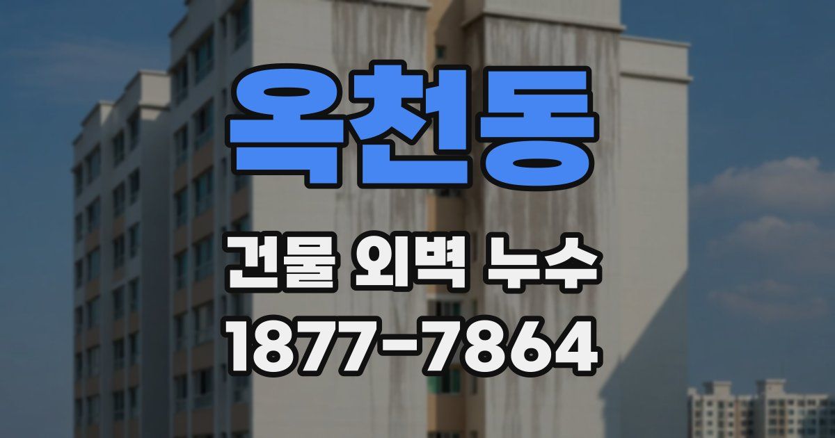옥천동 건물 외벽 누수