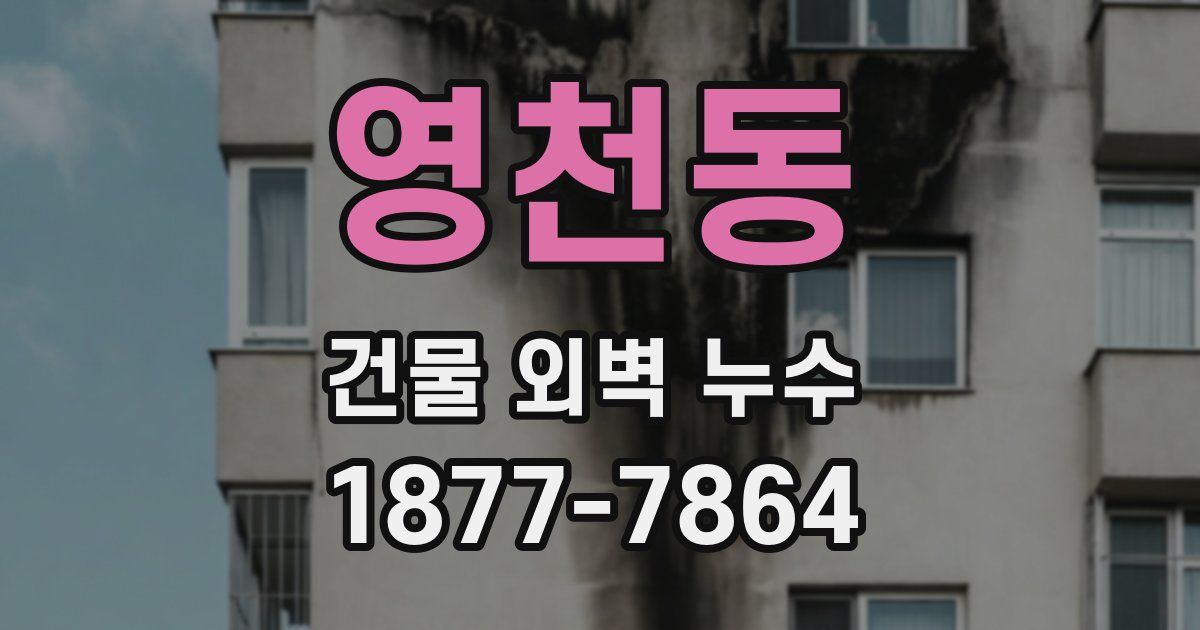 영천동 건물 외벽 누수